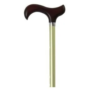 GREEN ADJUSTABLE - CLASSY EVERYDAY CANE
