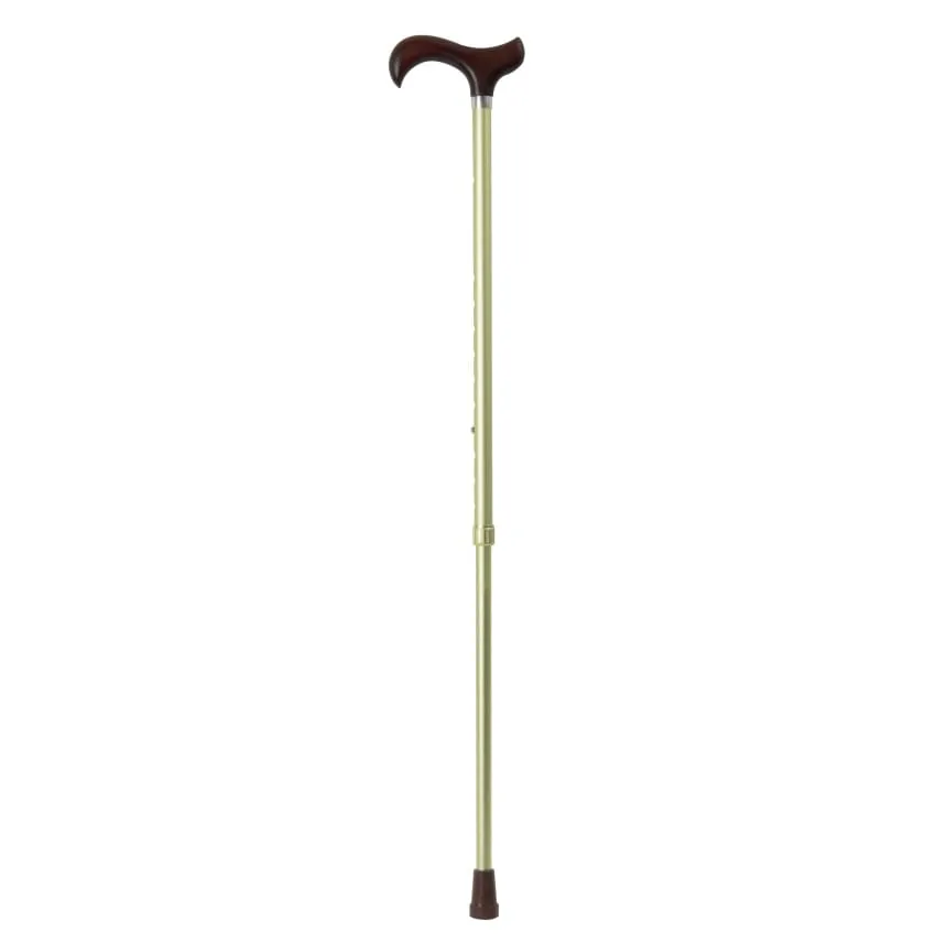GREEN ADJUSTABLE - CLASSY EVERYDAY CANE