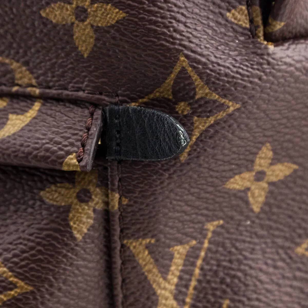 Louis Vuitton Monogram Palm Springs MM