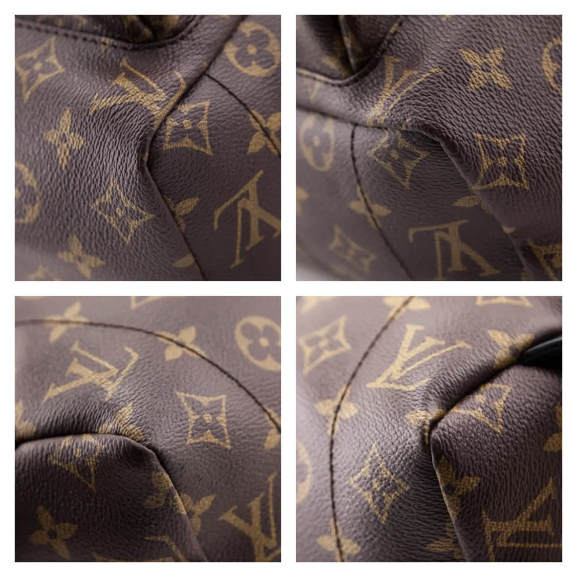 Louis Vuitton Monogram Palm Springs MM