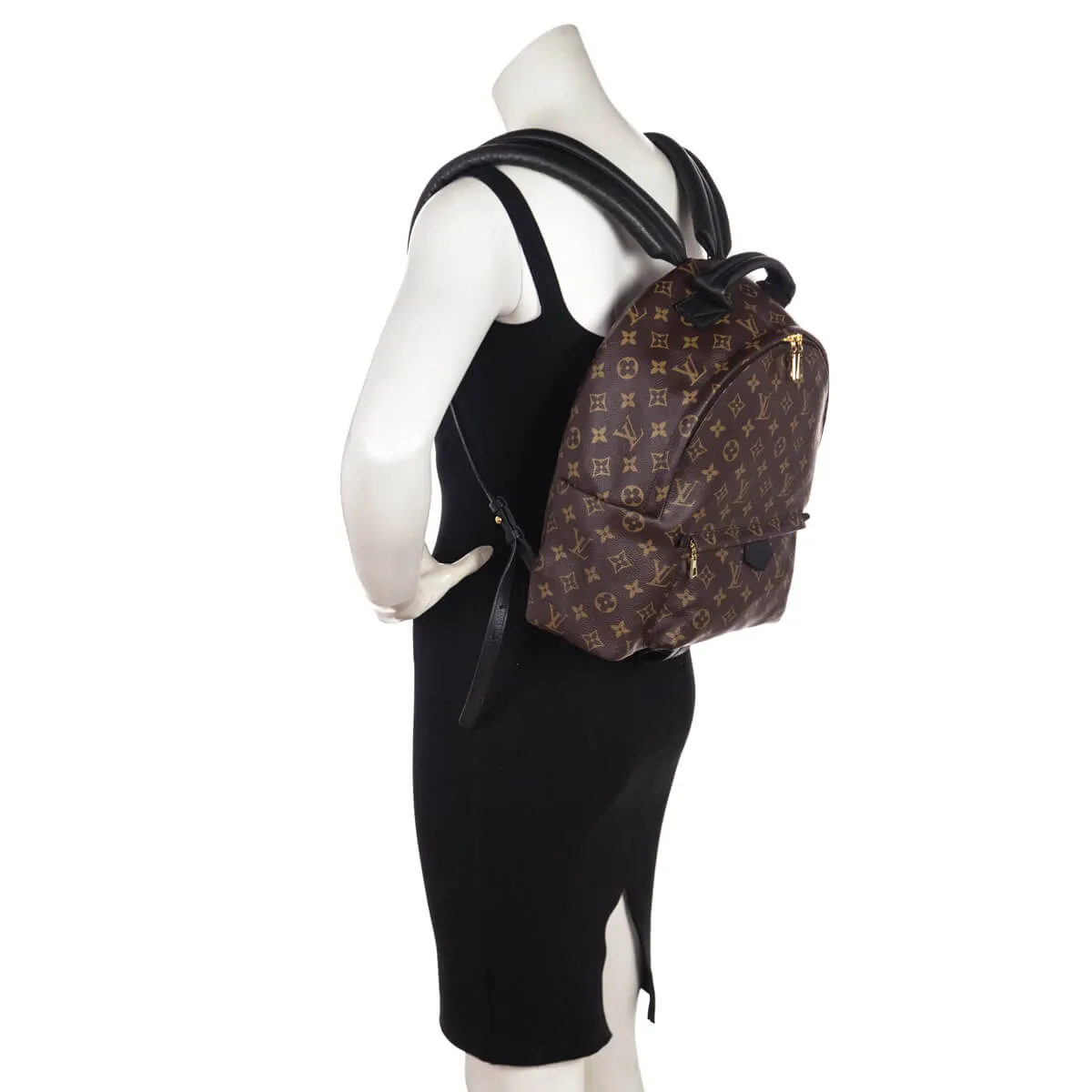 Louis Vuitton Monogram Palm Springs MM