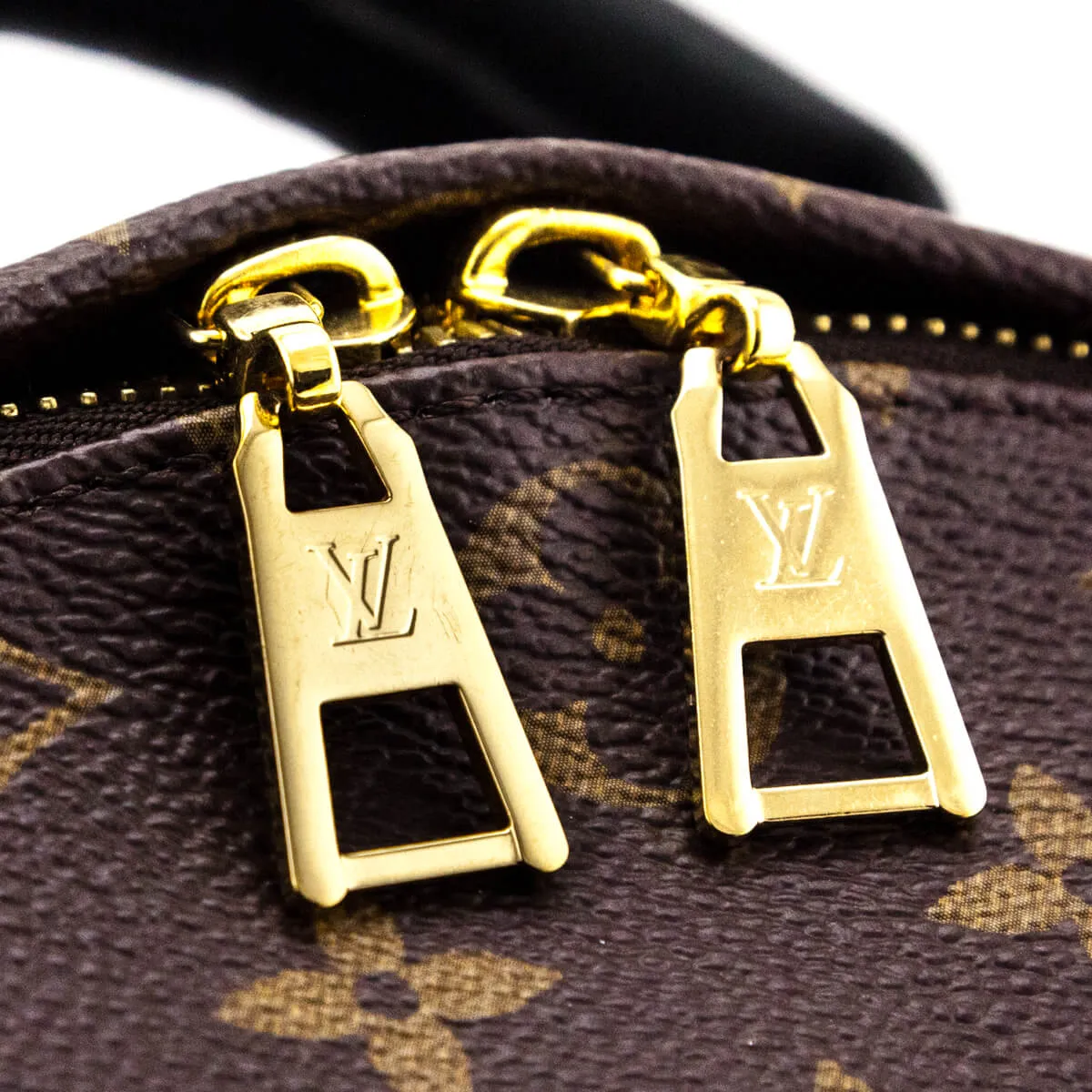 Louis Vuitton Monogram Palm Springs MM