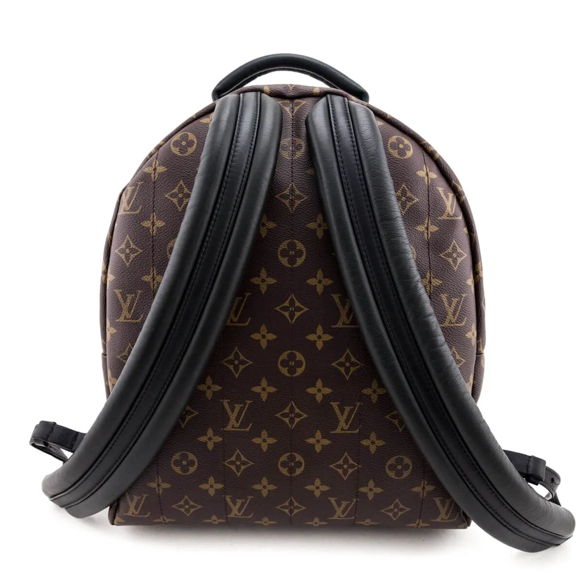 Louis Vuitton Monogram Palm Springs MM