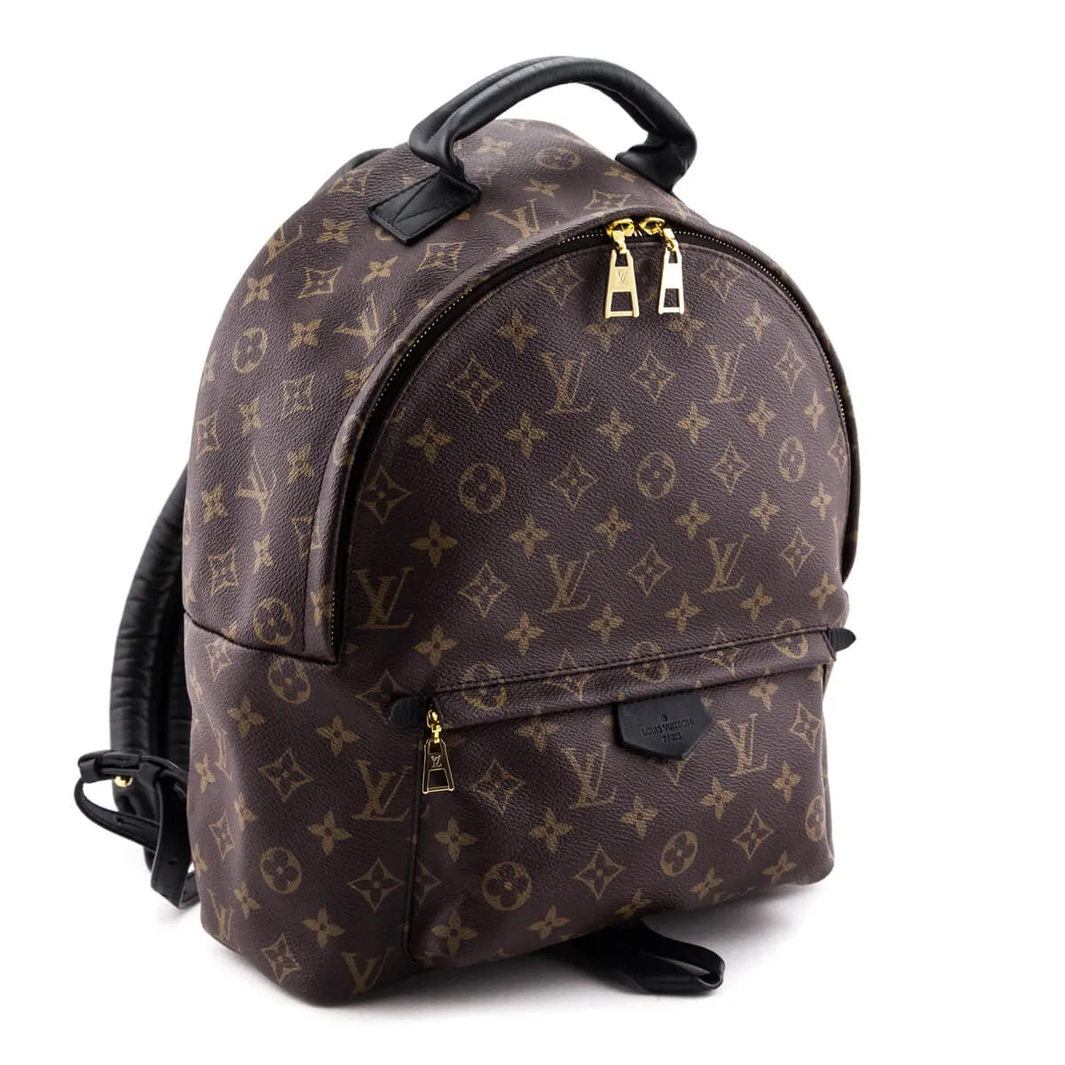 Louis Vuitton Monogram Palm Springs MM