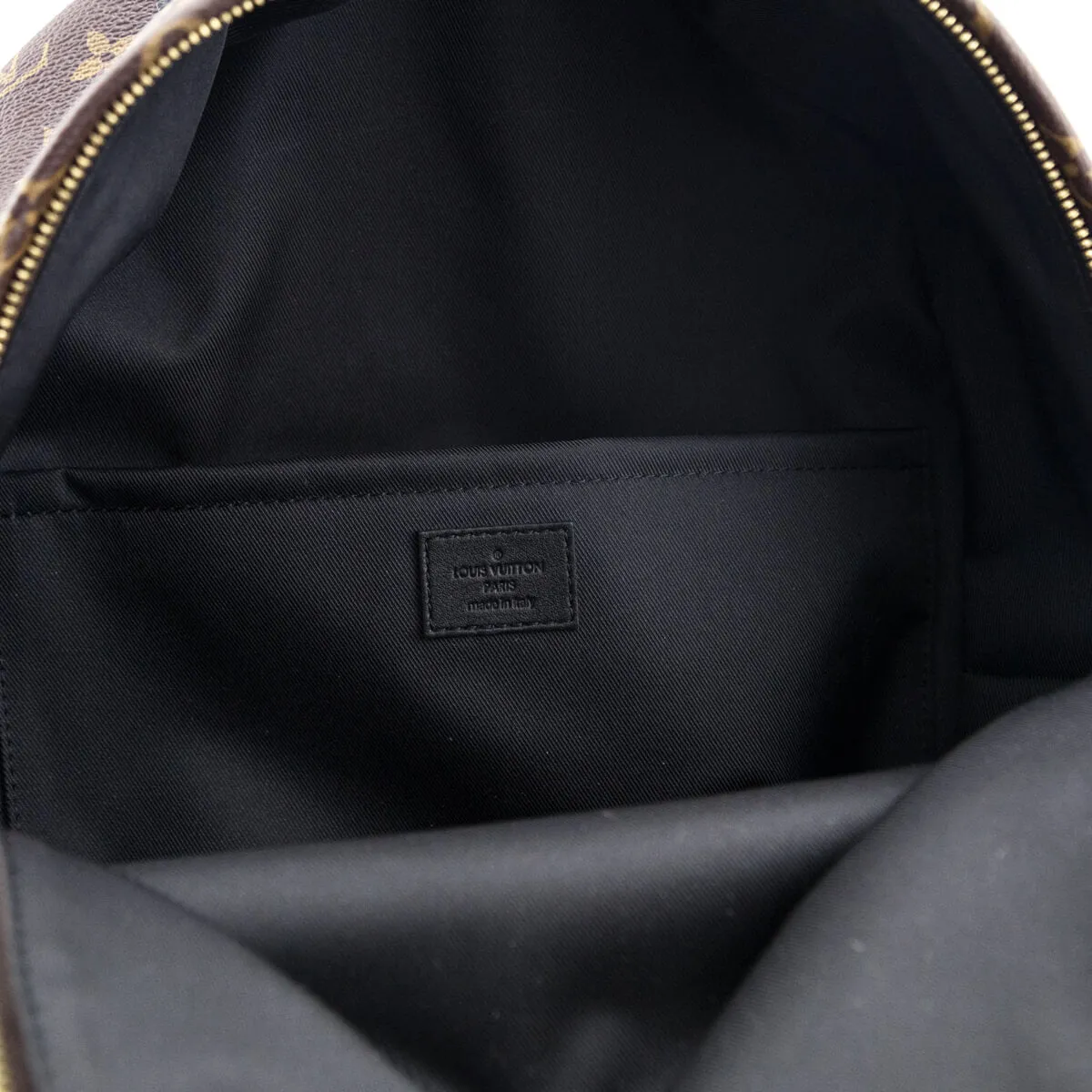 Louis Vuitton Monogram Palm Springs MM